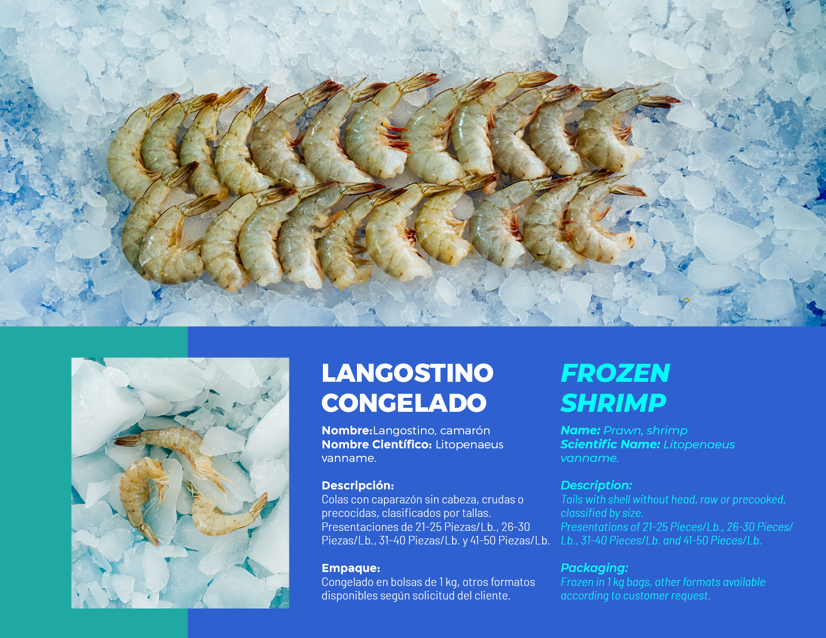 brochure 1